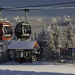 Sagewood 8