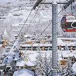 New Listing 3 Bedroom 3 Ba Aspen Condo Near Gondola