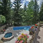 Aspen Alps Platinum 3