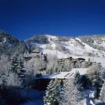 Aspen Alps Gold 3