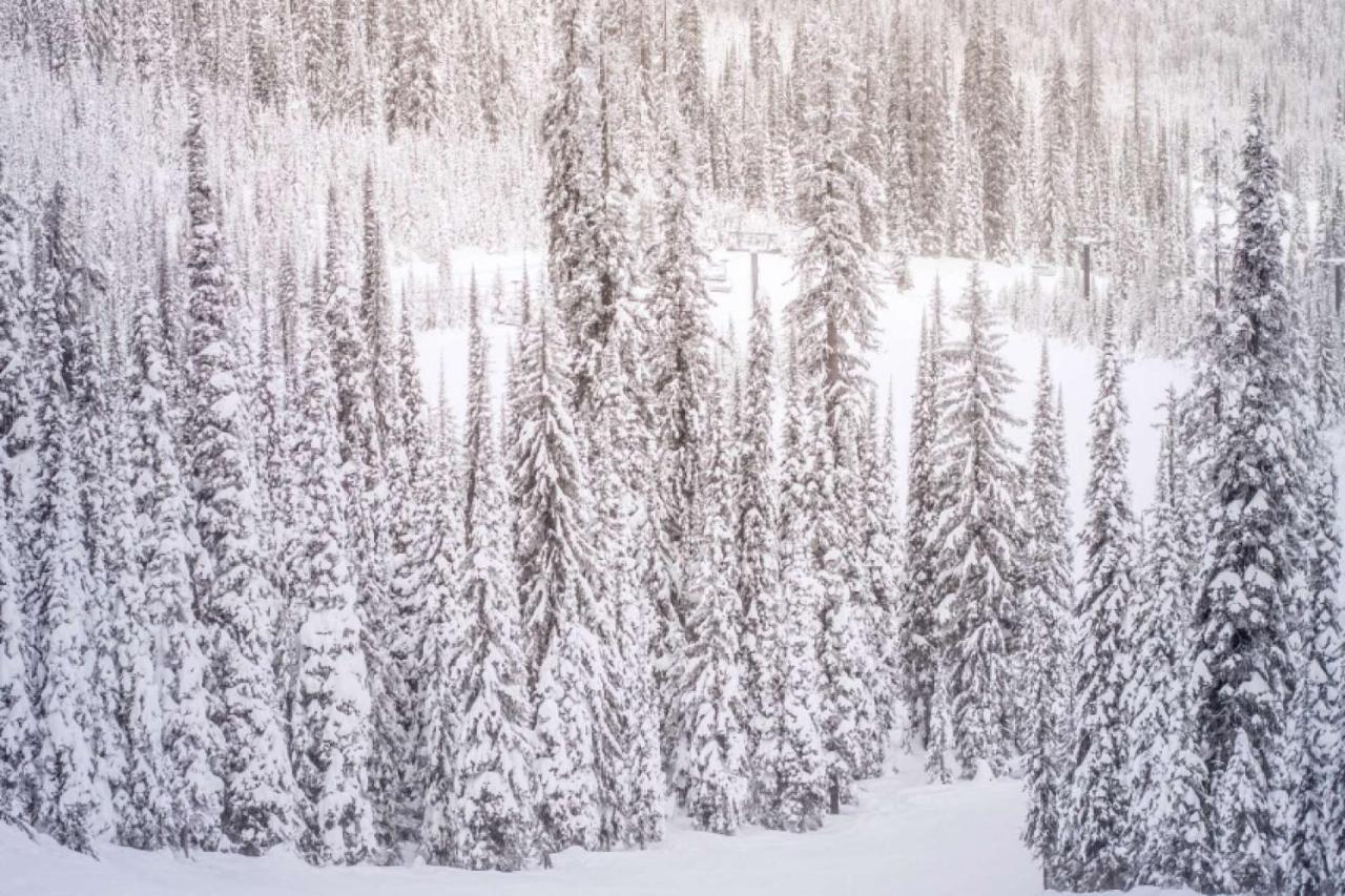 Little Nell #10 Holiday home Aspen