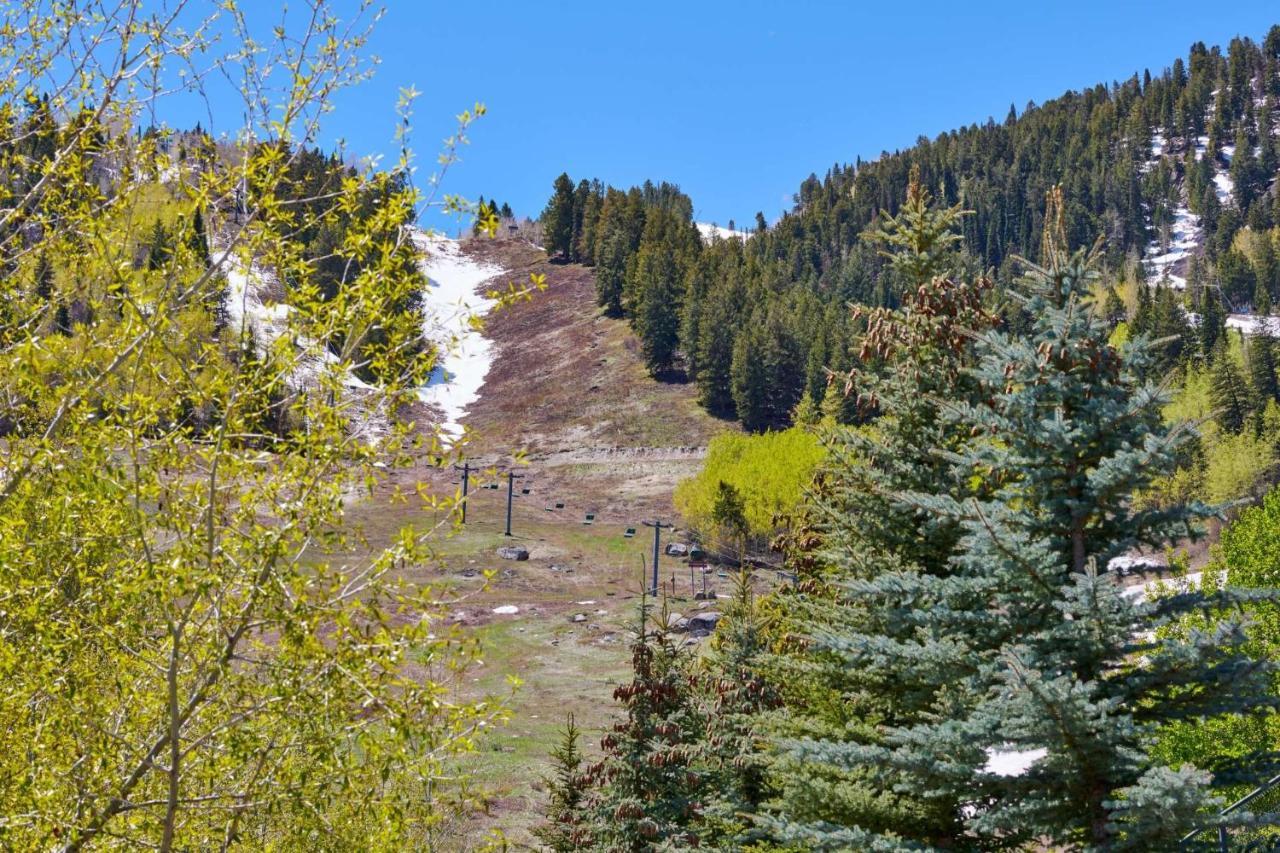 700 Monarch 201 Aspen