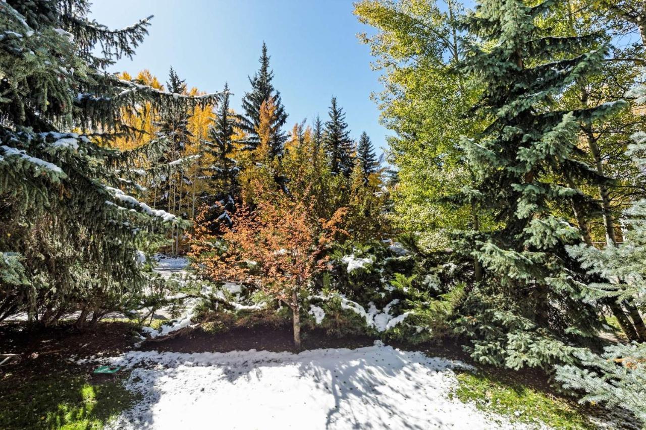 Sagewood 8 * Aspen