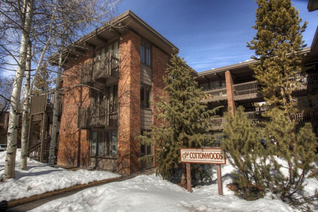 Cottonwoods Unit 1c, Downtown With Upgraded Kitchen & Bathrooms