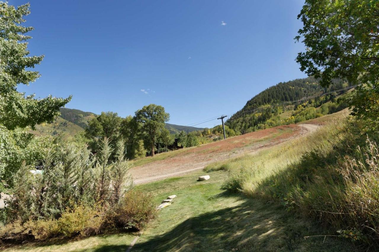 Shadow Mountain 14 *