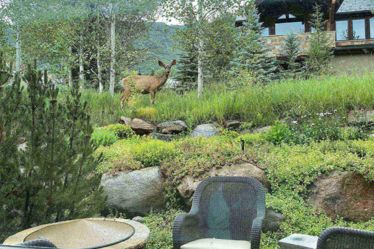 Fox Crossing Luxury Holiday home