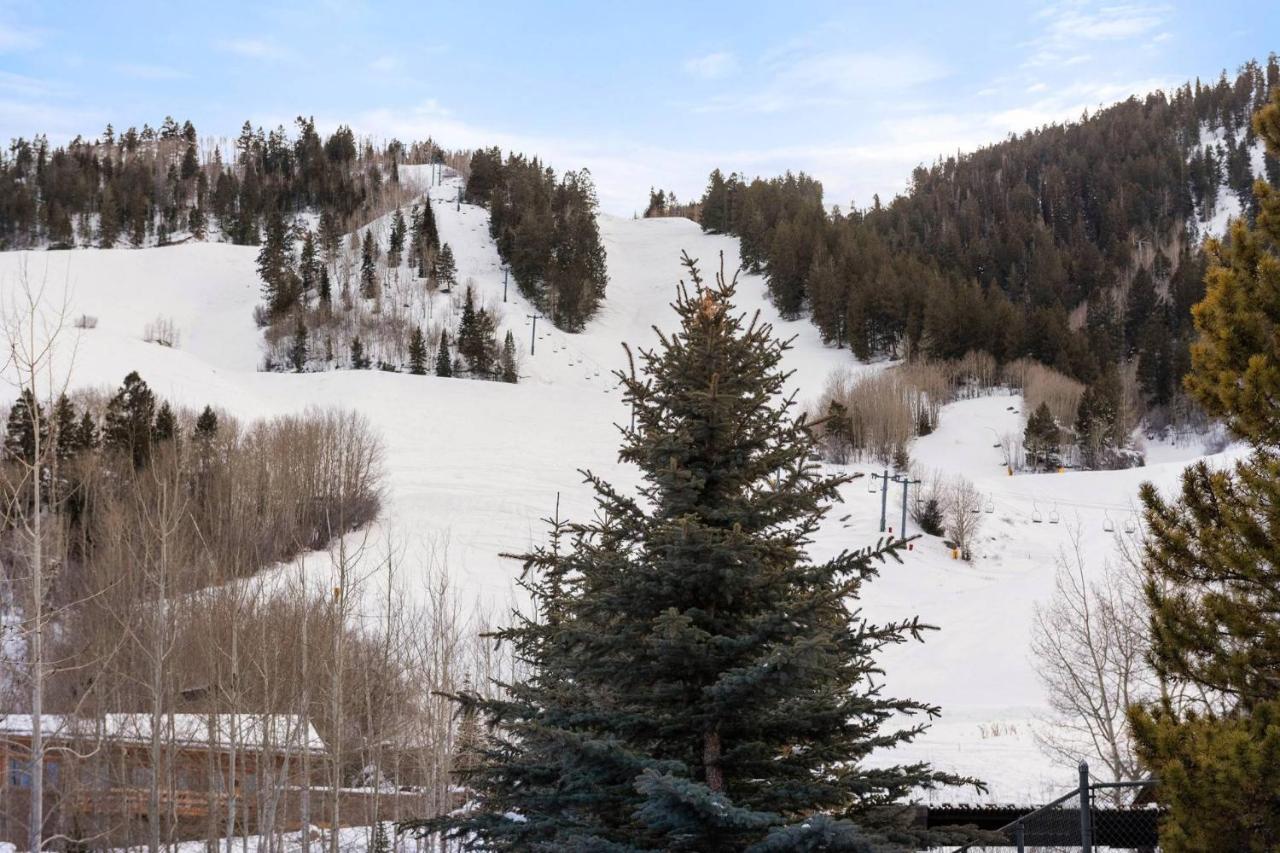 700 Monarch 302 Aspen