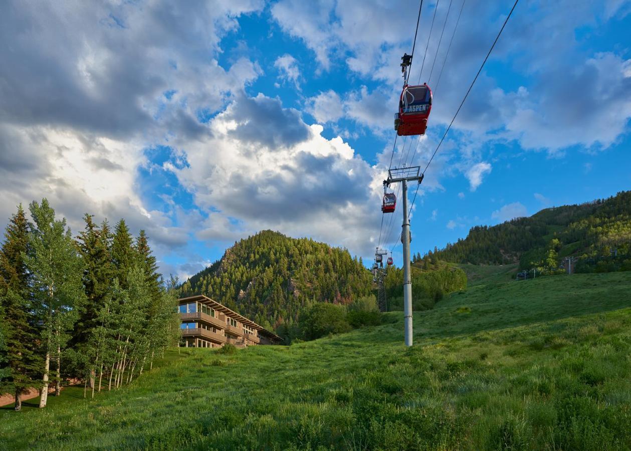 Alps #711 * Aspen