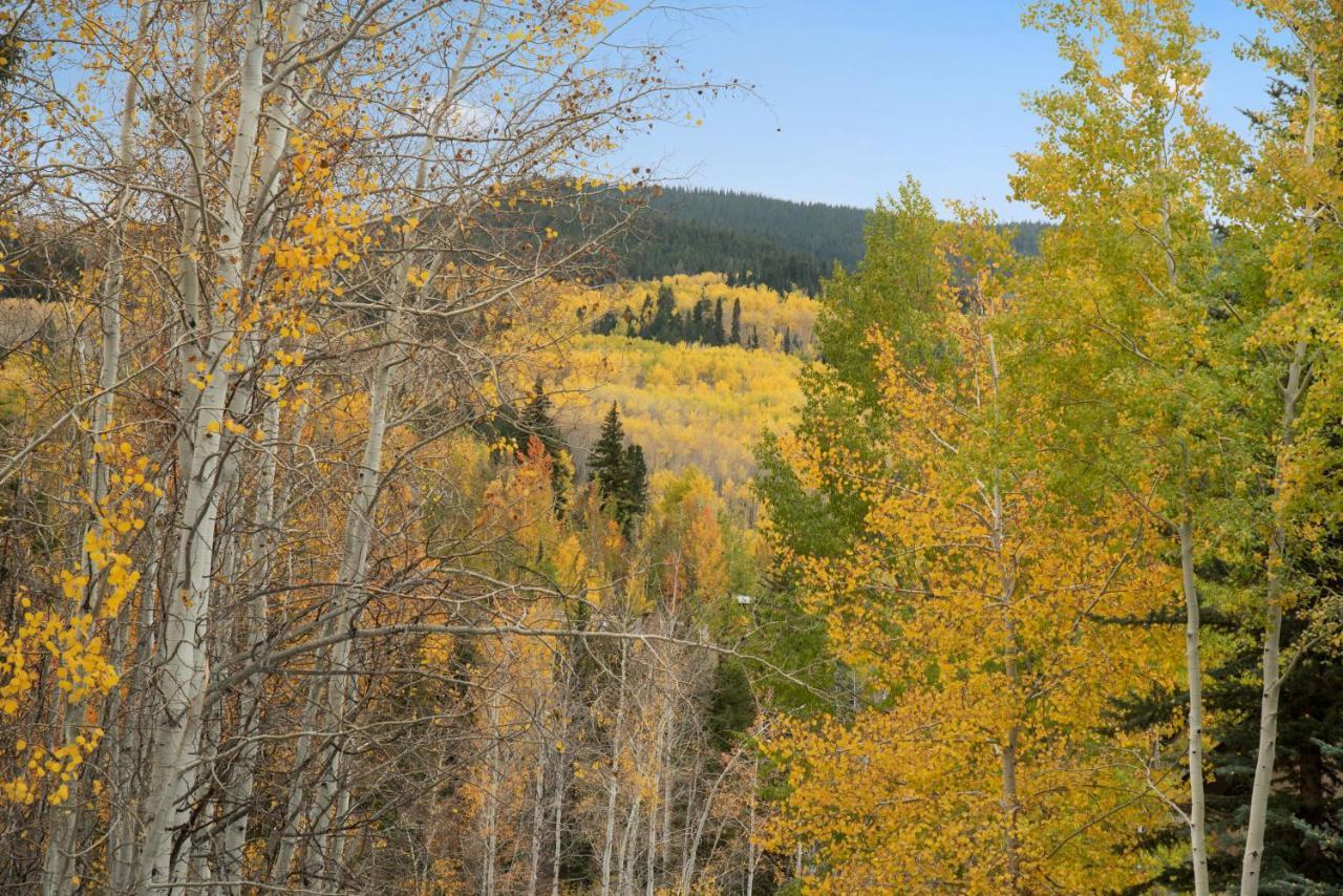 Two Creeks By Snowmass Vacations *