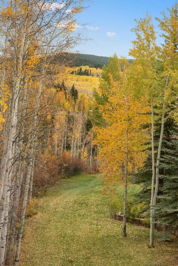 Two Creeks By Snowmass Vacations * Aspen