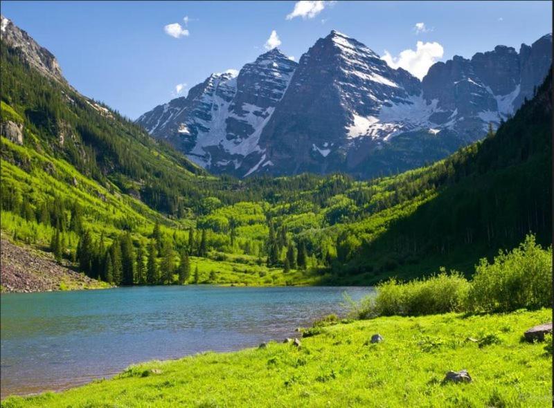 Premier Gondola Condo: Downtown Luxury Steps From Slopes Apartment Aspen