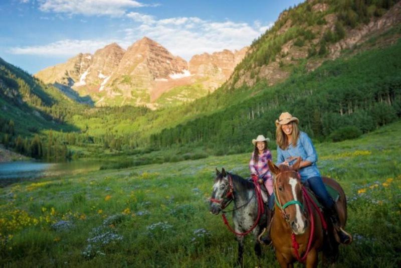Premier Gondola Condo: Downtown Luxury Steps From Slopes Apartment Aspen