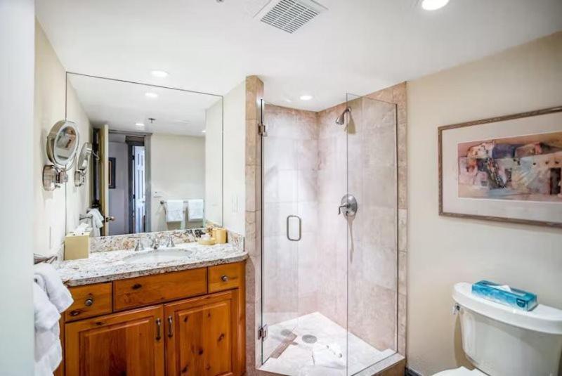 In, Out 3 Bedroom With Mountain Views, Heated Pool, And Hot Tub Access Aspen