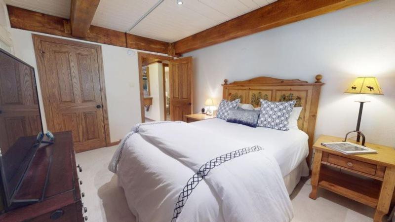 Snowmass Village 2 Bedroom Platinum-rated In, Out * Aspen