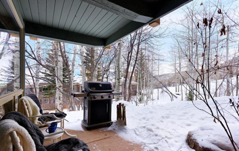 Snowmass Village 2 Bedroom Platinum-rated In, Out Apartment