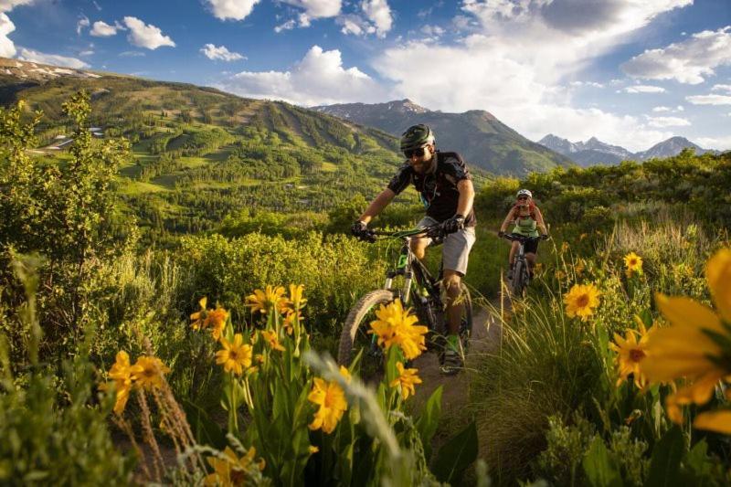 Snowmass Village 2 Bedroom Platinum-rated In, Out Aspen