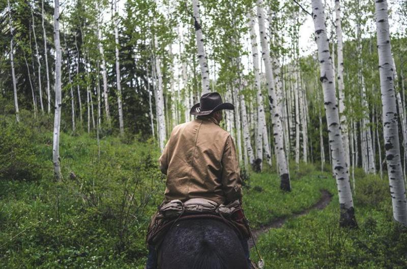 Snowmass Village 2 Bedroom Platinum-rated In, Out Aspen
