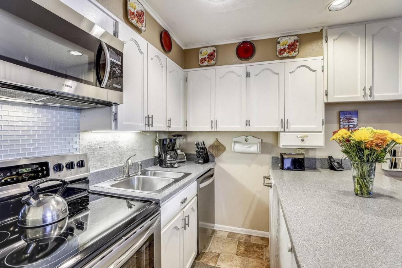 Downtown 2 Bedroom - Silverbell Apartment Aspen