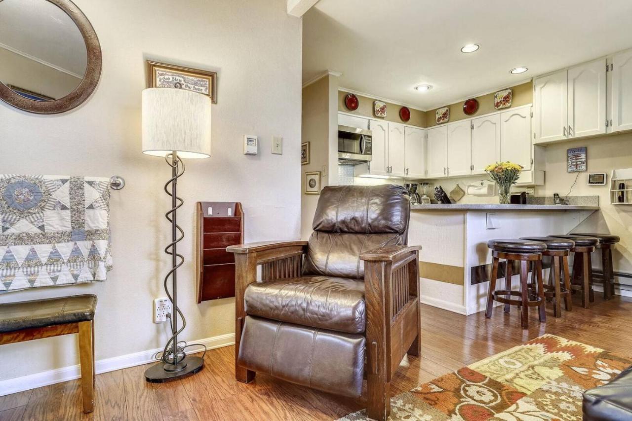 Downtown 2 Bedroom - Silverbell Aspen