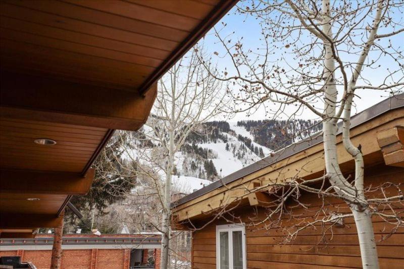 Downtown 3 Bedroom - Silverbell Aspen