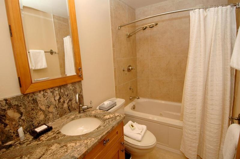 Silverglo 209, Large, Deluxe With Private Deck And Many Upgrades Holiday home