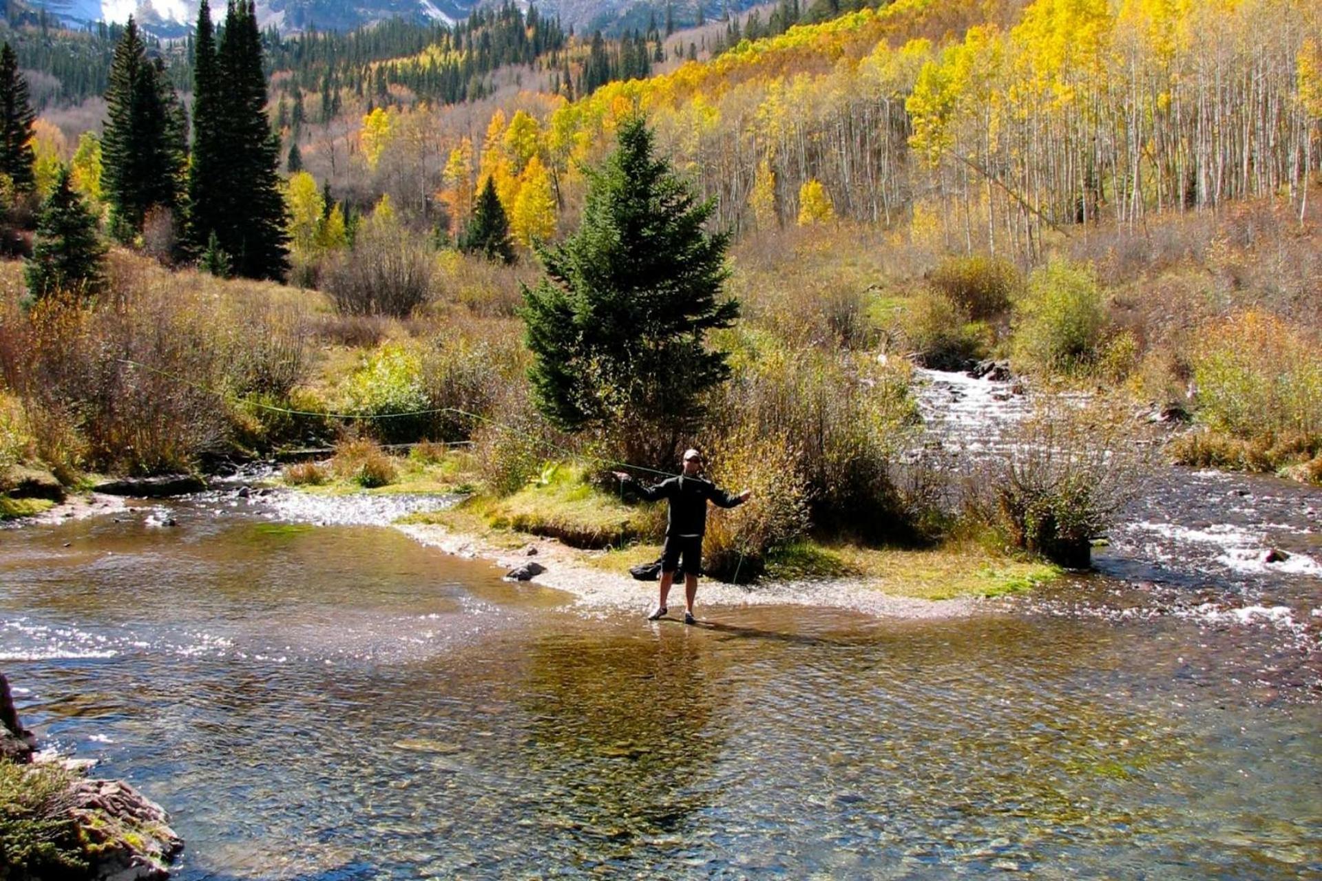 Little Nell #10 * Aspen