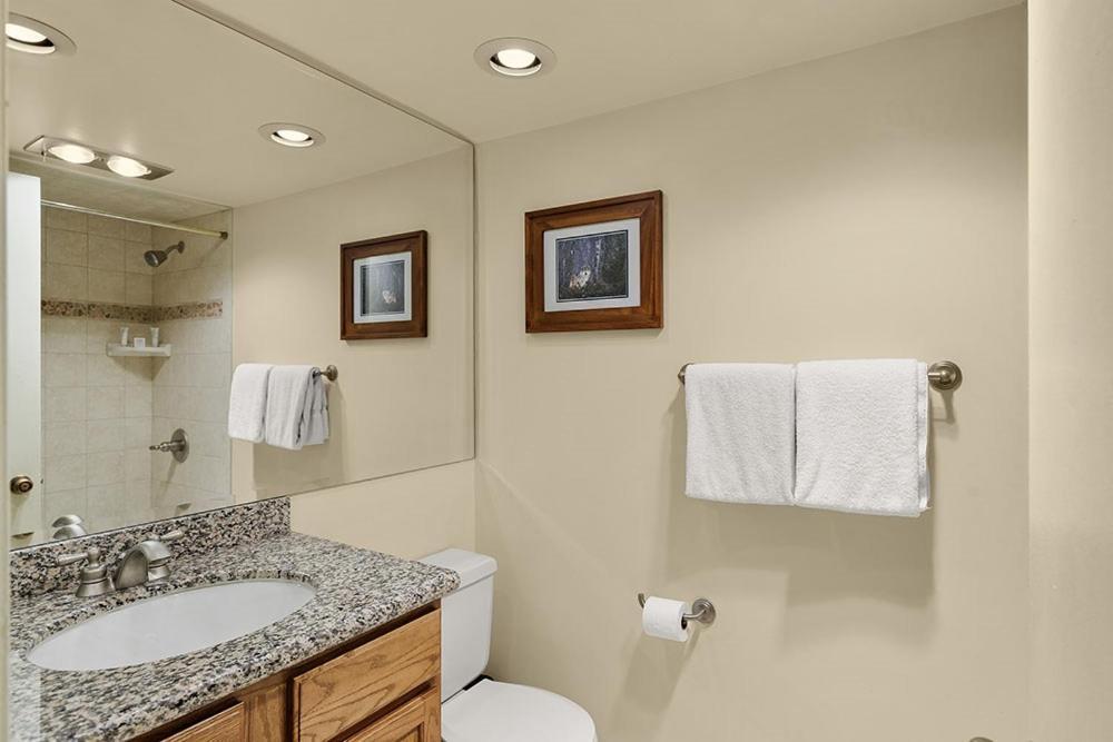 Holiday home Chateau Eau Claire Unit 22, Overlooking The Roaring Fork River With A Private Deck Aspen