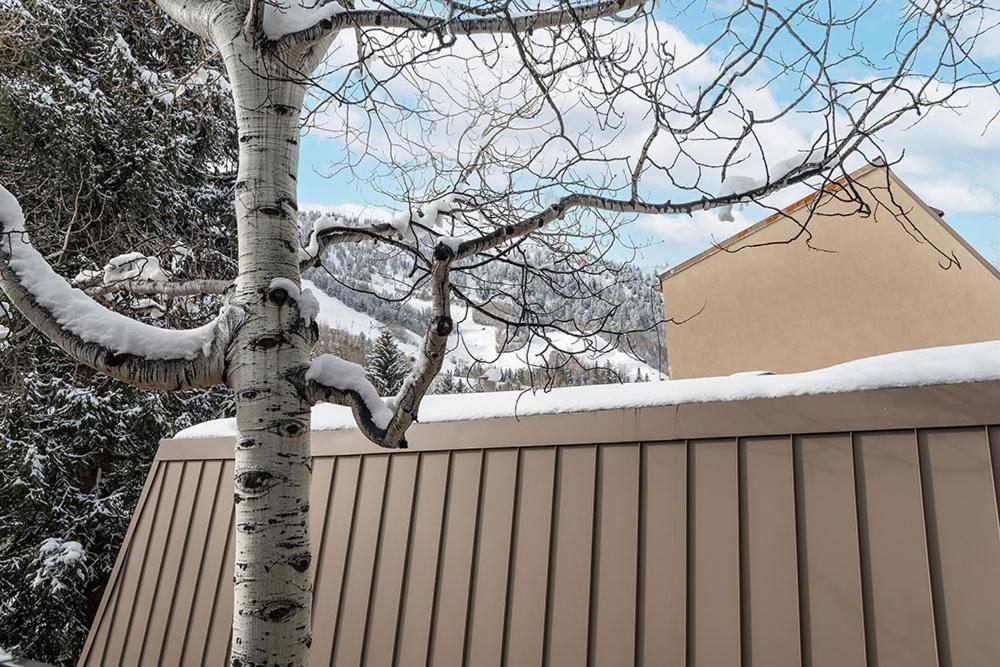 Townhouse East Unit 7, Exceptional Location * Aspen