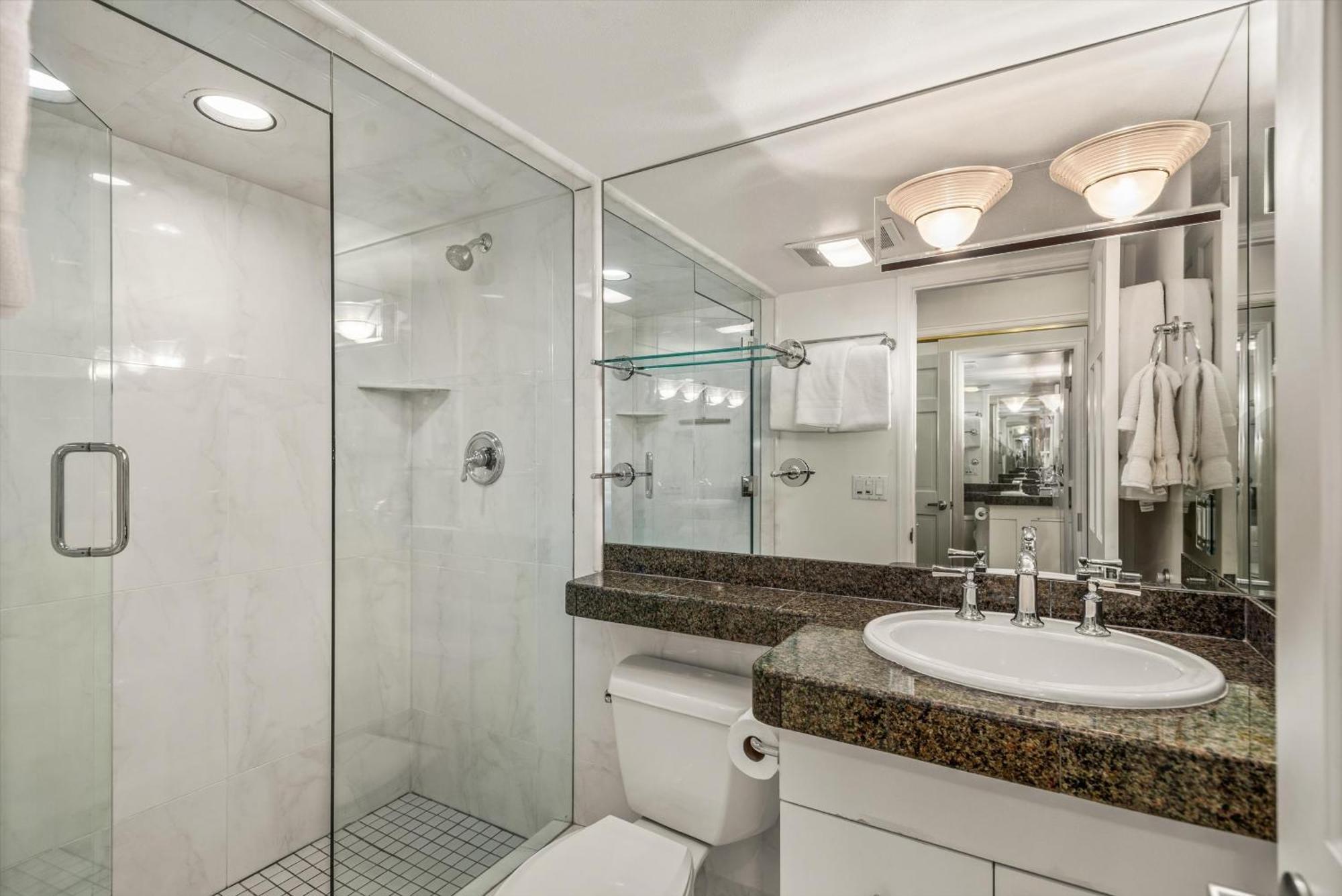 Chateau Chaumont Unit 5, With Prime Location, 1 Block To Mountain Holiday home Aspen