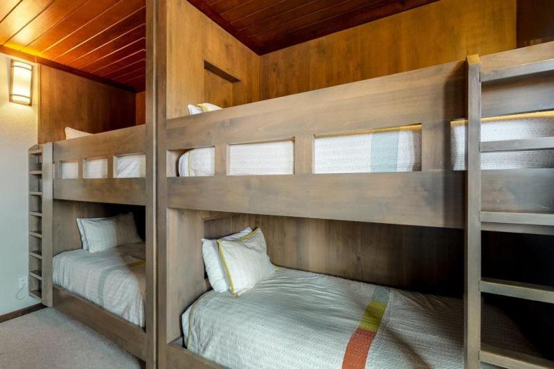 Alpine Vista Ski-in/ski-out Apartment Aspen