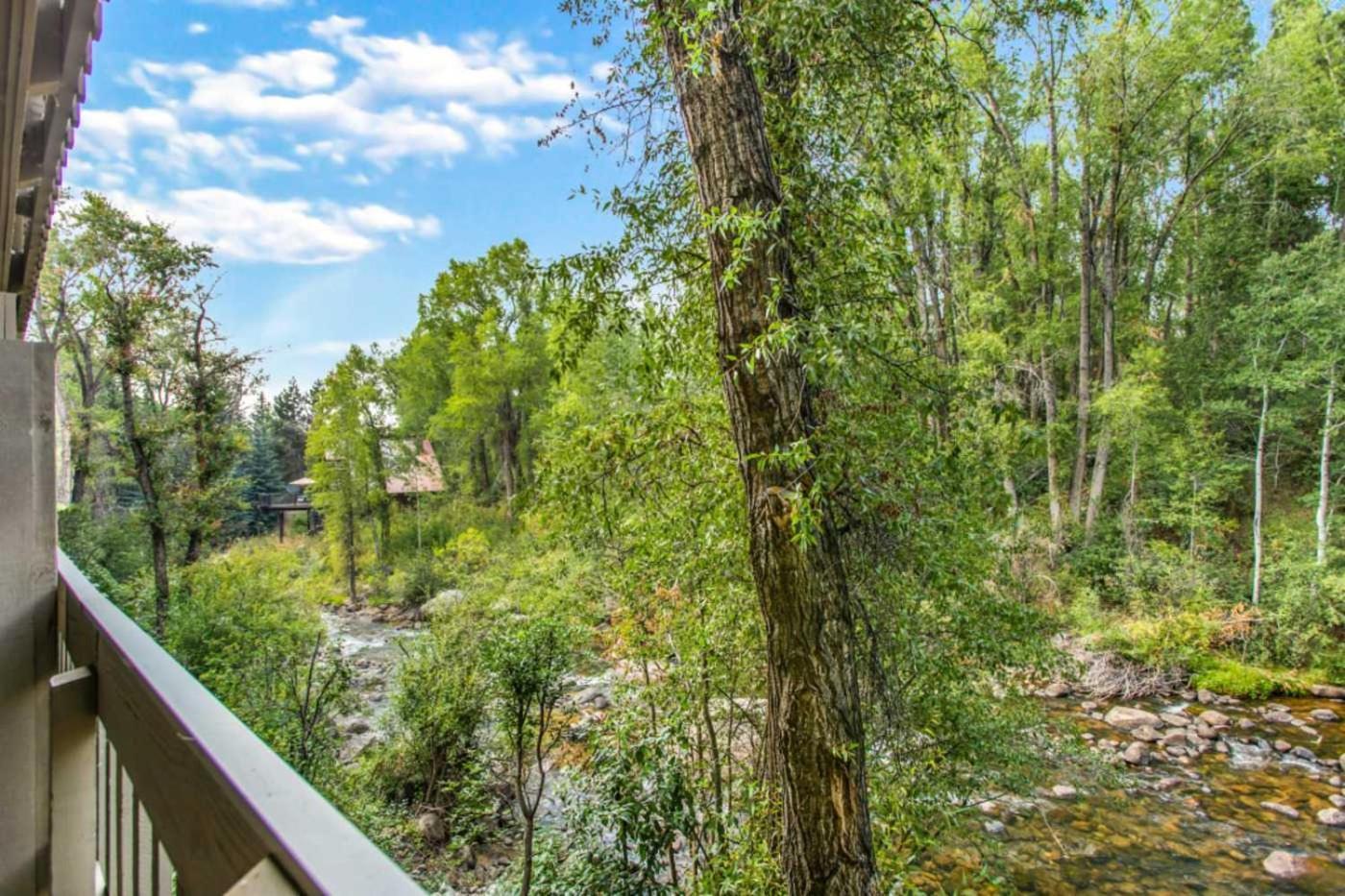 Designer 2 Bedroom On River With Pool - Walk To Town! Aspen