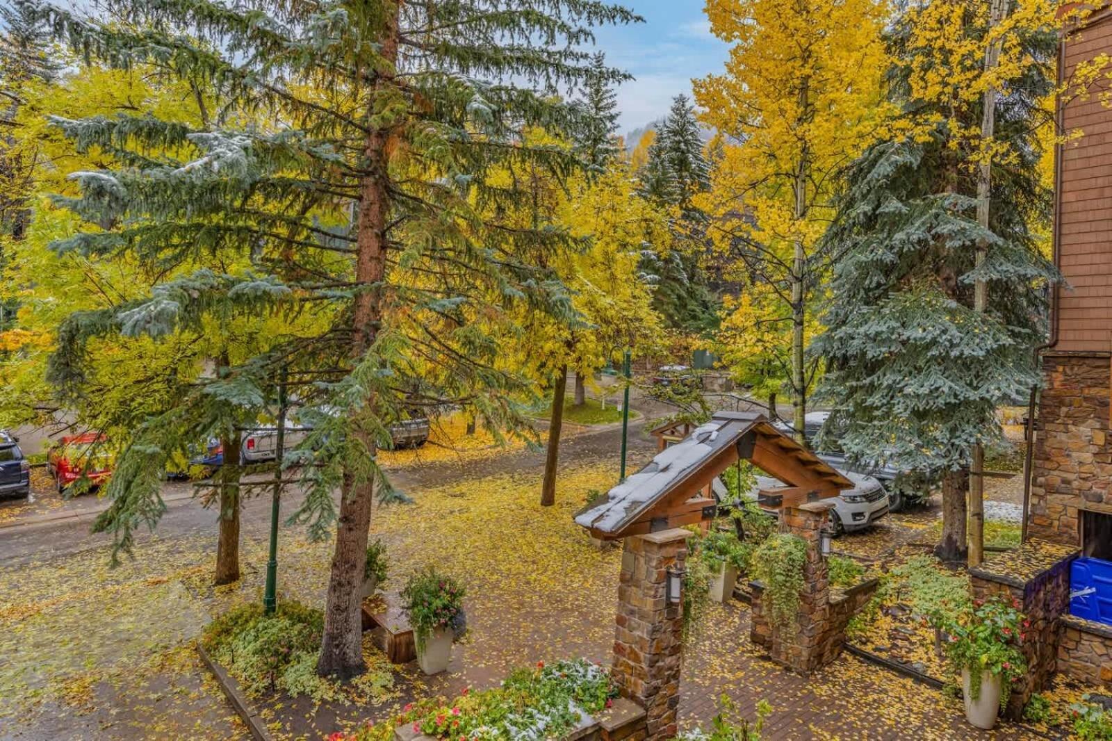 Apartment New Listing 3br 3ba - Steps To Gondola *