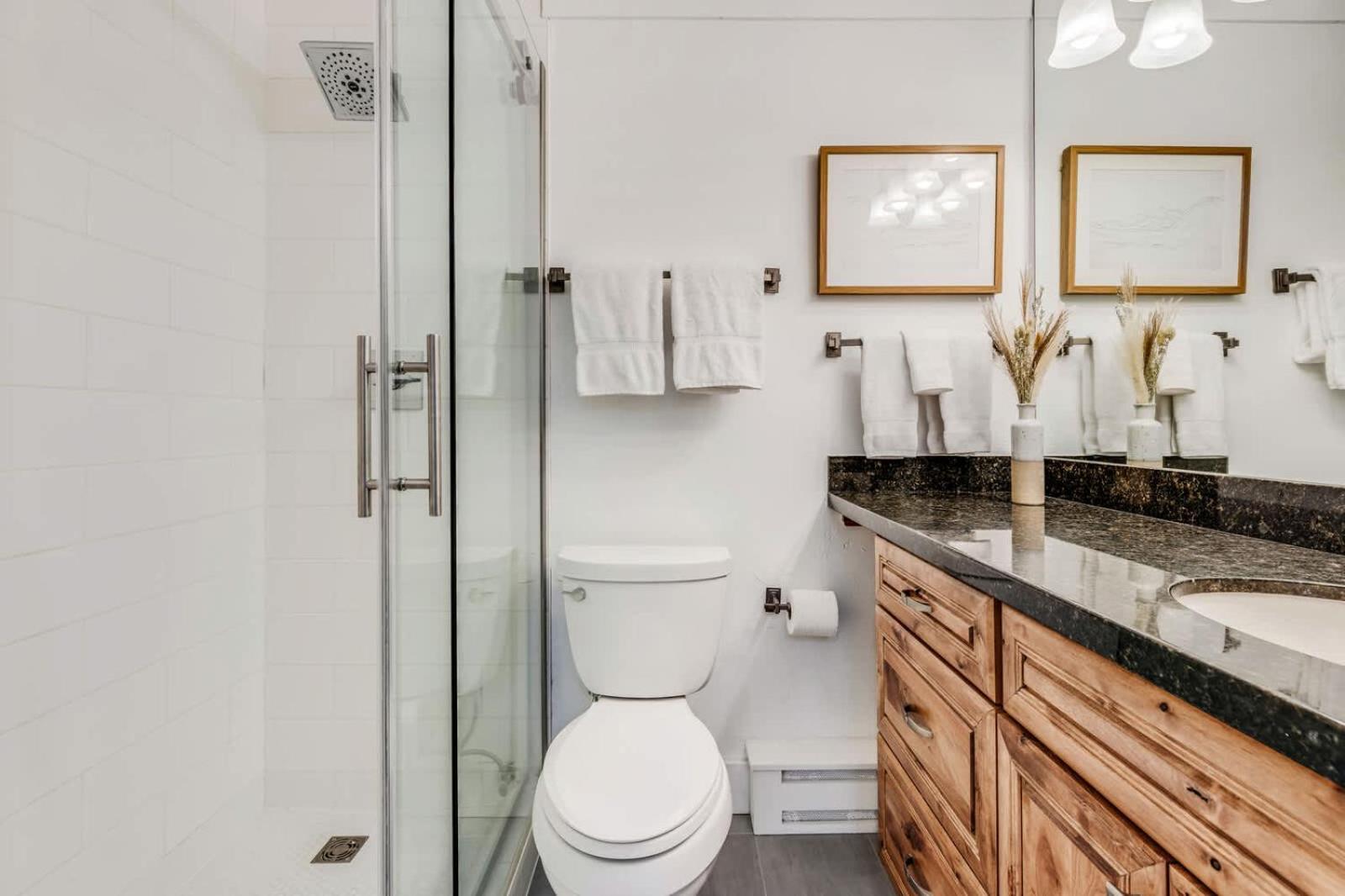New Listing 3br 3ba - Steps To Gondola Apartment Aspen