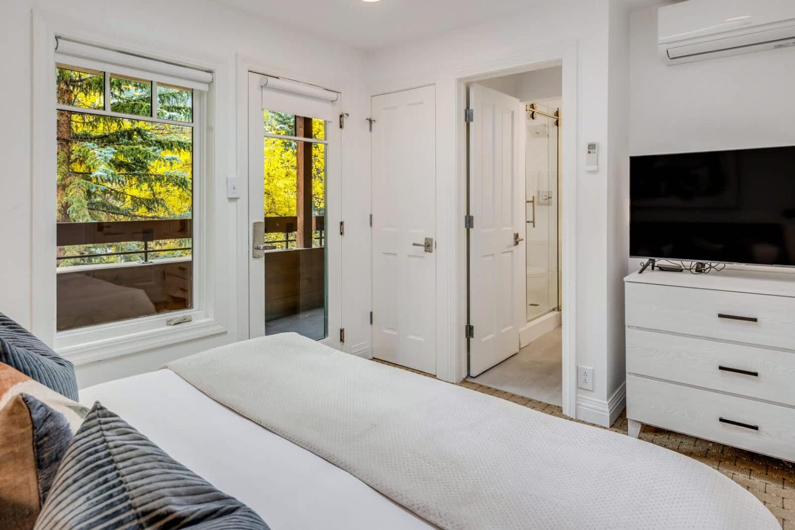 New Listing 3br 3ba - Steps To Gondola Aspen