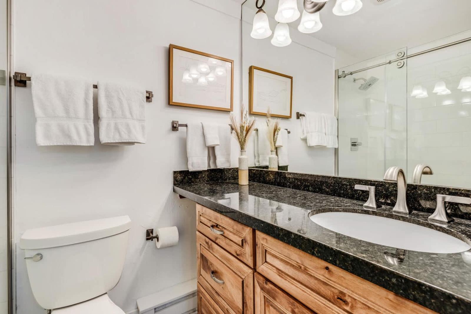 Apartment New Listing 3br 3ba - Steps To Gondola