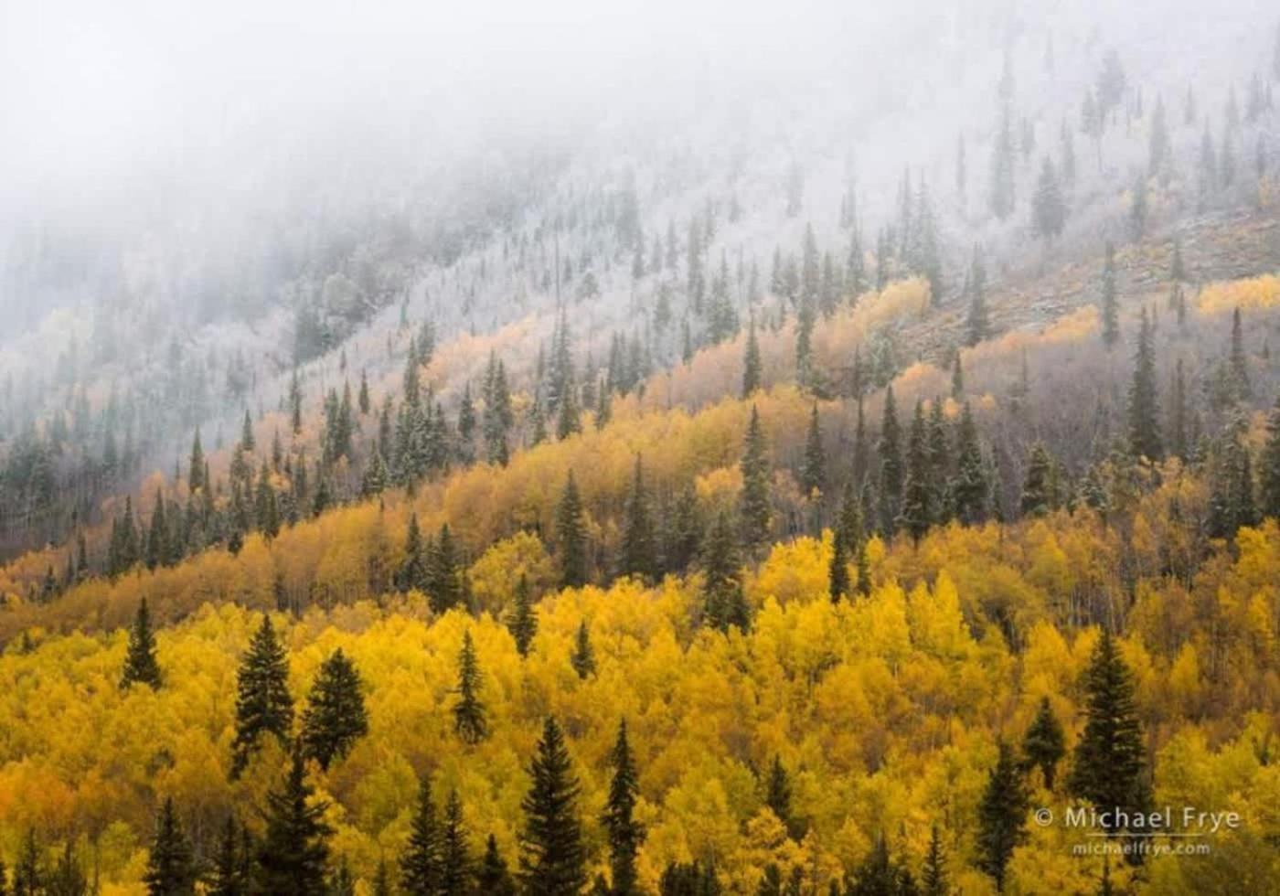 New Listing 3 Bedroom 3 Ba Near Gondola * Aspen