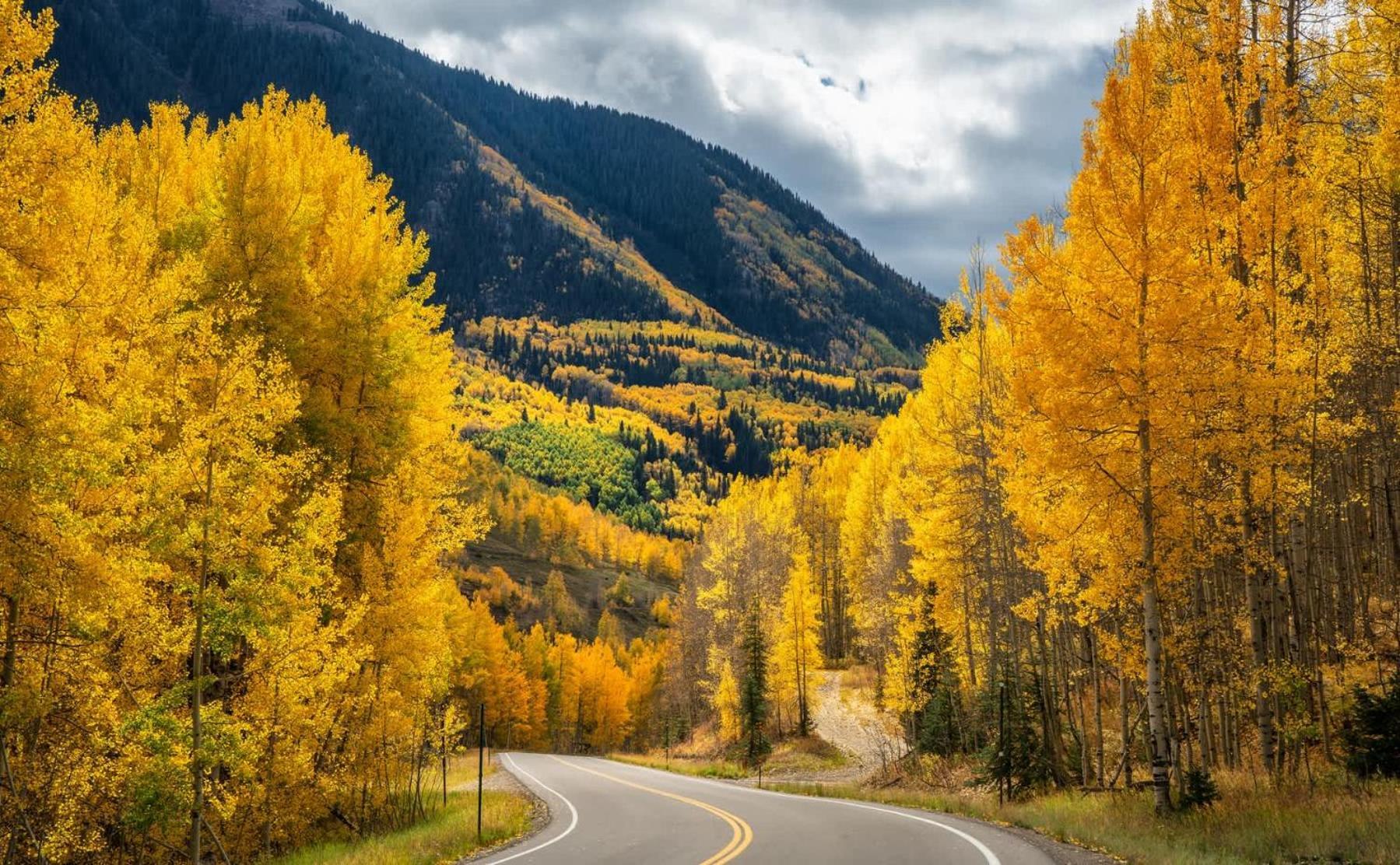 Apartamento New Listing 2br 2ba - Mountain Views Aspen
