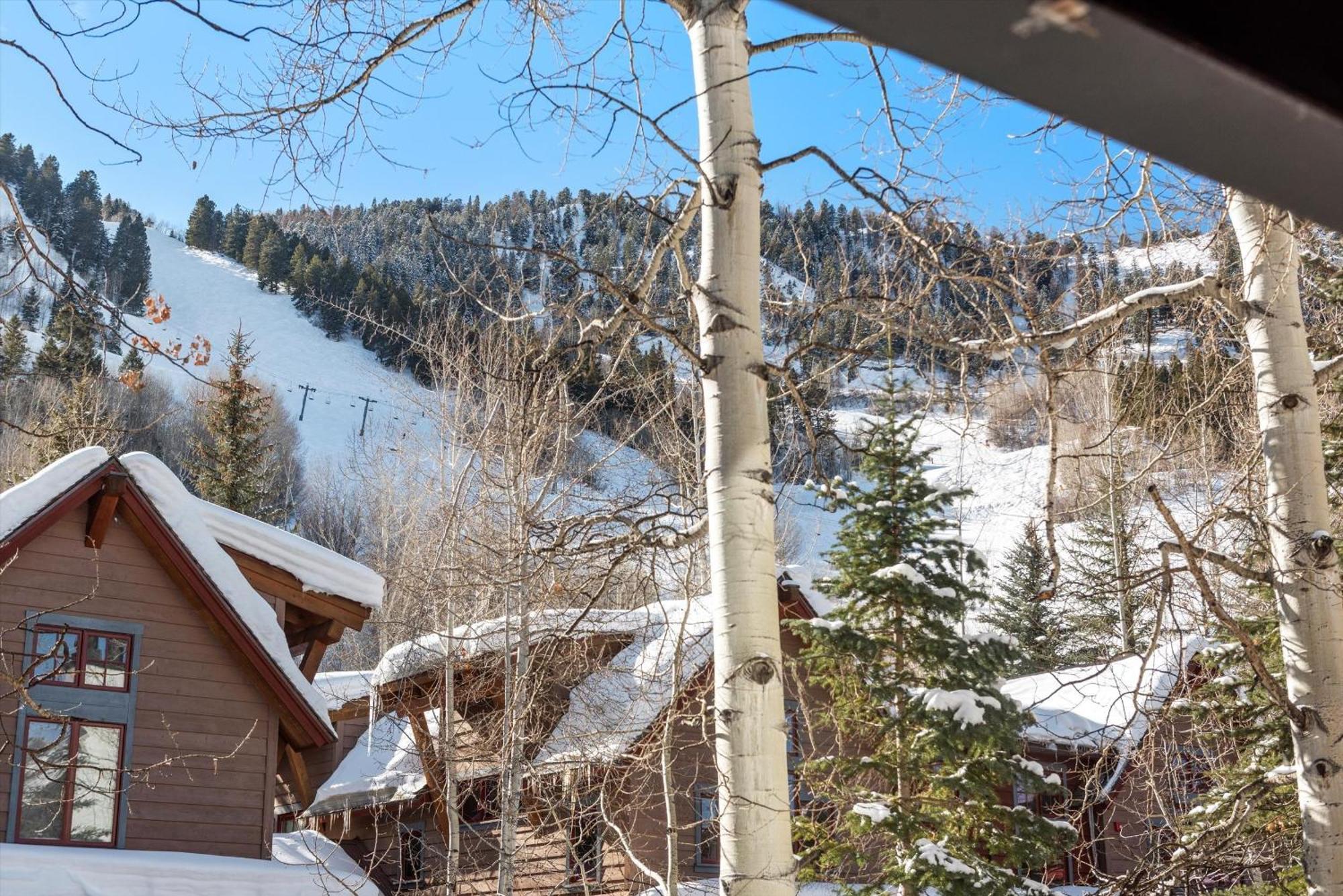 305a Apartment Aspen