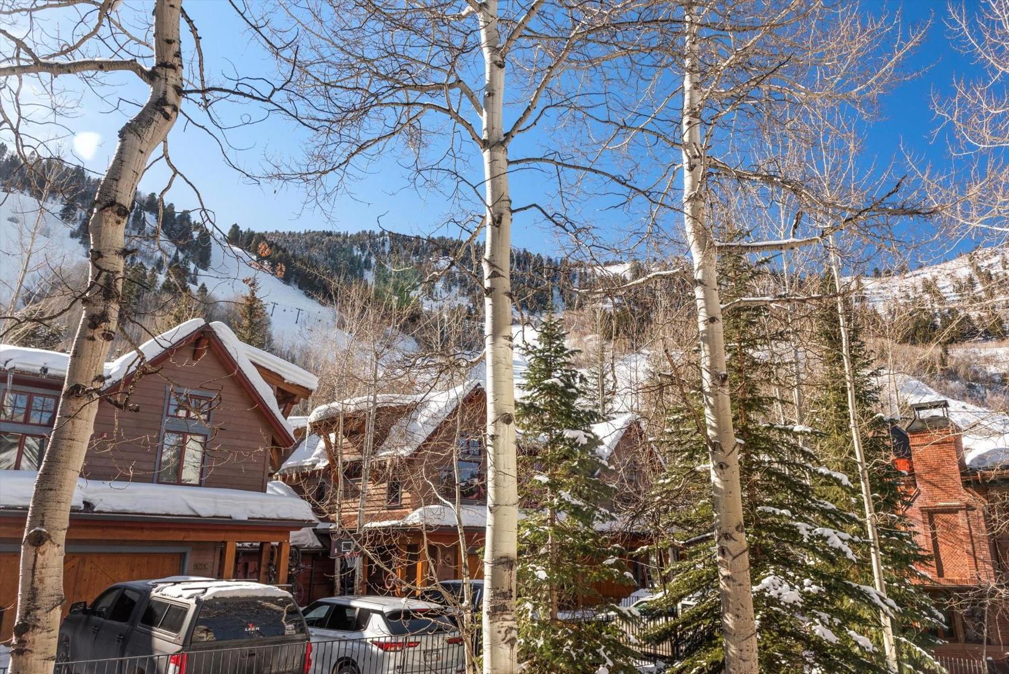 Apartment 305a Aspen