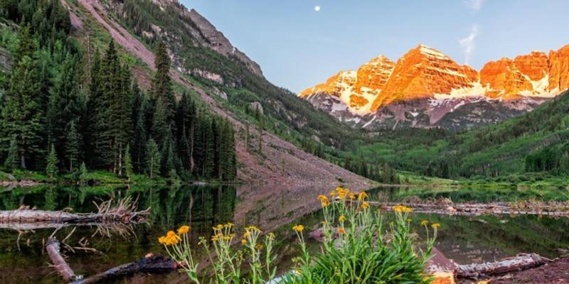 Downtown 2 Bedroom Near Lift 1a W- Pool Hot Tub! * Aspen