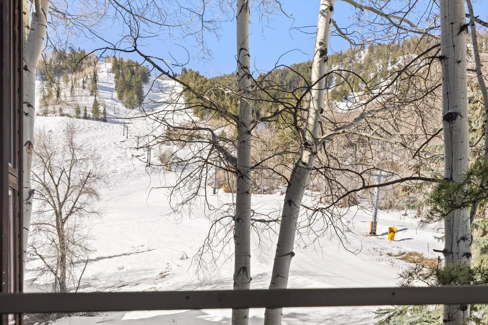 Holiday home Mountain Queen 14 Aspen