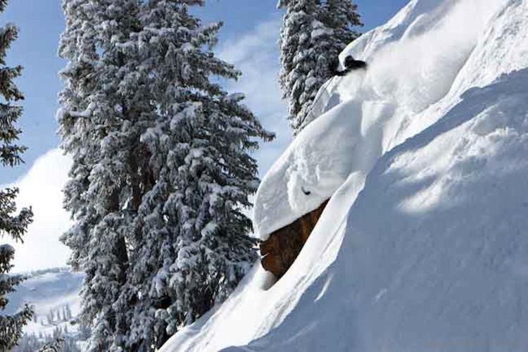 Specious & Beautiful - Steps To Ajax Gondola Aspen