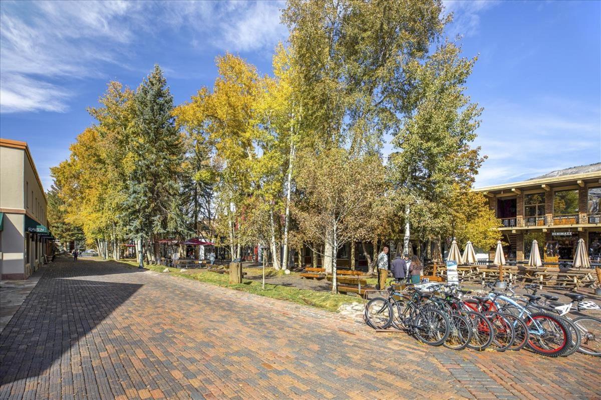 Apartment - Affordable & Prime Location