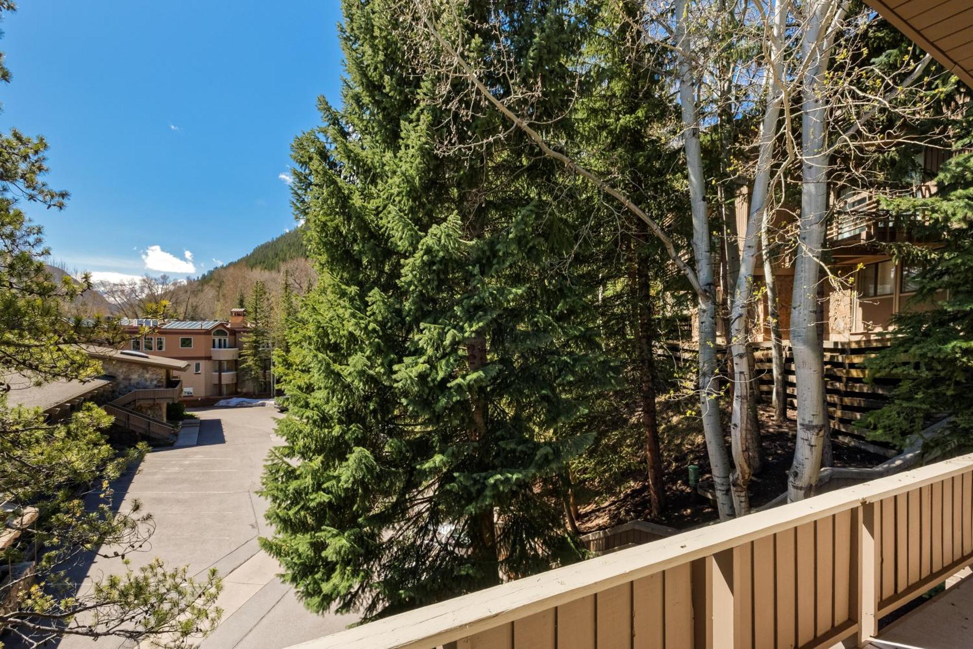 Apartment Aspen Alps Apartment #209 *