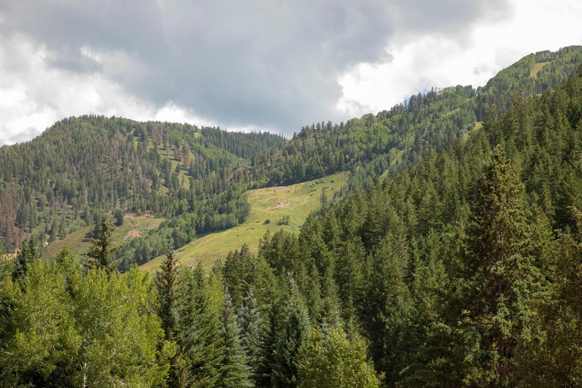 Holiday home Christiana Unit 201c, Light-filled Luxury With Views Of Mountain