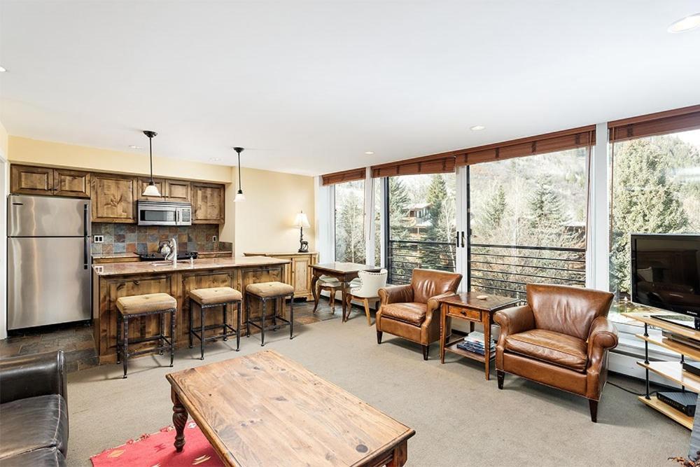 Durant Unit A101, Centrally Located, Sunny With Great Views, A/c & Fireplace Aspen