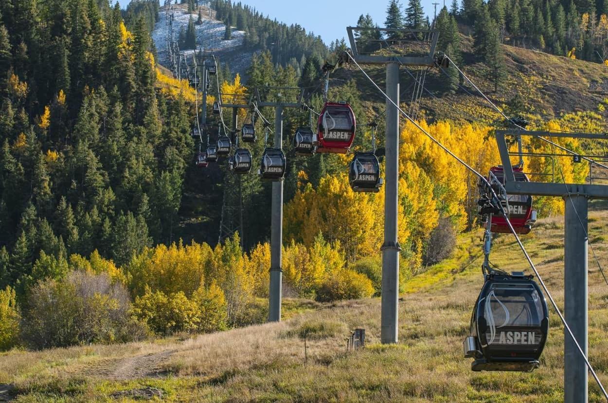 New Listing 2br 2ba - Mountain Views * Aspen