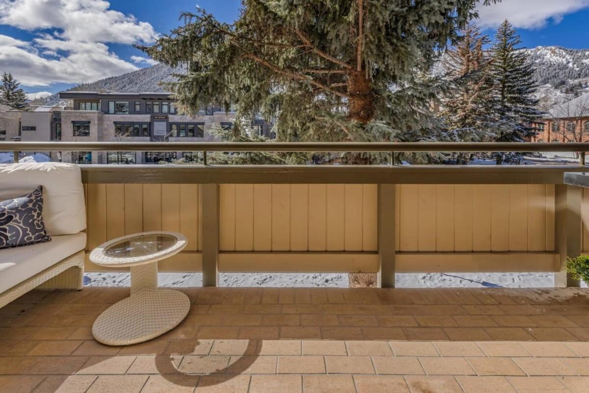 New Listing 2br 2ba - Mountain Views Aspen