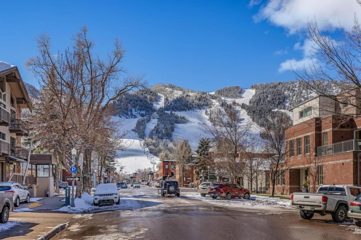 New Listing 2br 2ba - Mountain Views * Aspen