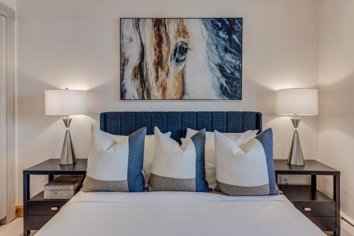 New Listing 2br 2ba - Mountain Views Apartment Aspen